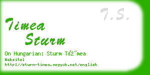 timea sturm business card